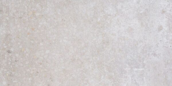 Sphinx Terrazzo Ice Grey grijze tegel – mat – 30 × 60 cm