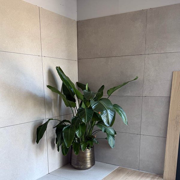 Cerados Showroom4